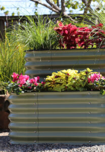 galvanized raised beds