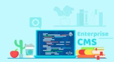 enterprise CMS platforms