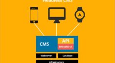 headless CMS and decoupled CMS