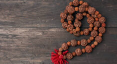 Rudraksha beads