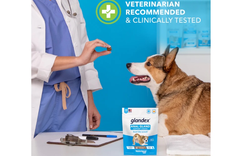 glandex anal gland soft chew treats 