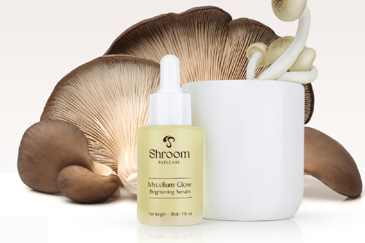 mushroom skin care products