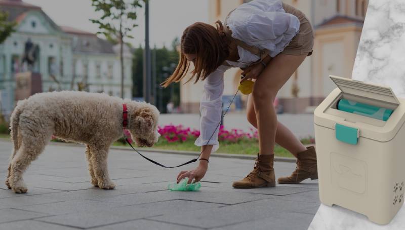 dog poop disposal system