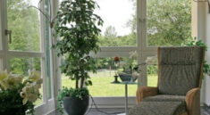 solar window film uk