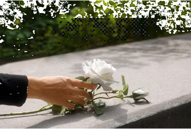 direct cremation services 