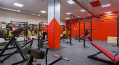 gym equipment wholesale