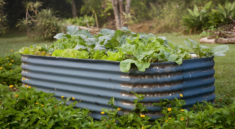 galvanized raised bed planter