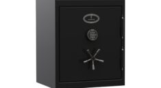 multiple handgun safe