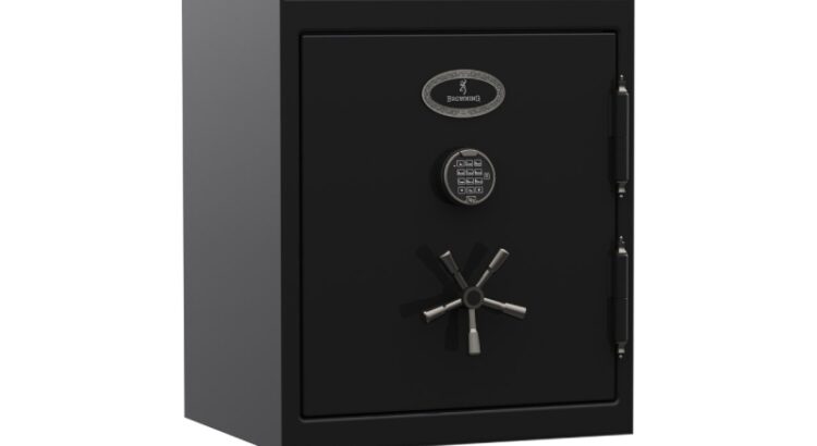 multiple handgun safe